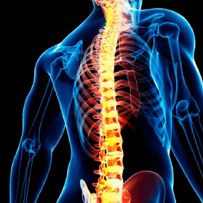 Osteosíntesis / Columna